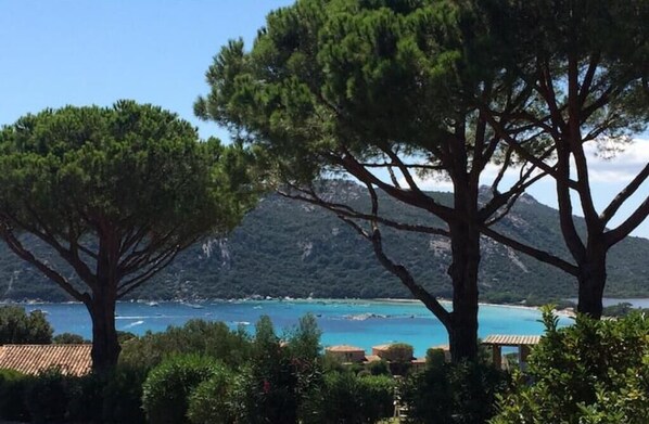 Vue sur la plage/l’océan