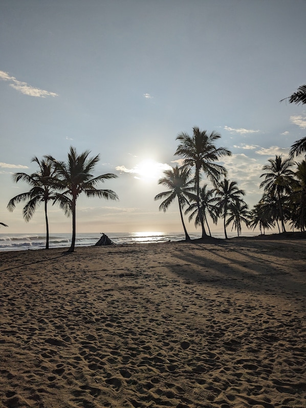 Strand