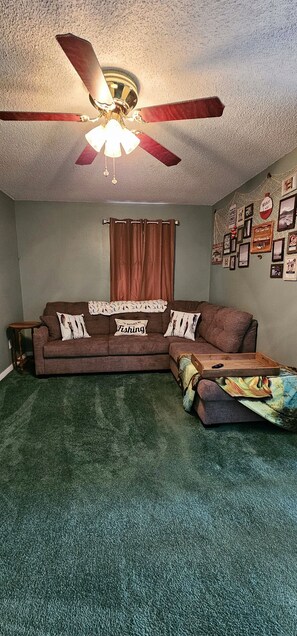 Living Room, Pullout couch