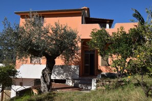 Autumn, Main Entrance, Spring, Summer