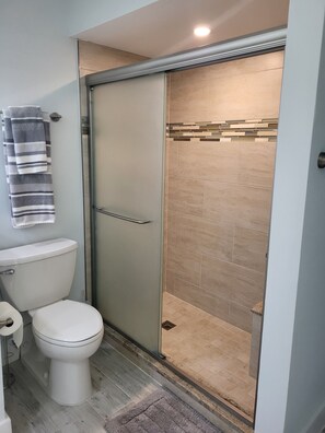 Master shower