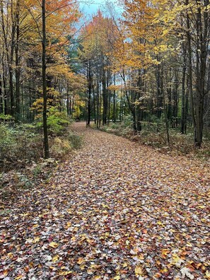 the 300 yards driveway to the house in the fall.