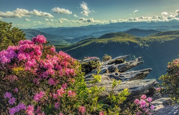 Breathtaking views nearby like this to be explored along Skyline Drive