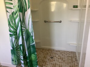 Handicap accessible walk in shower