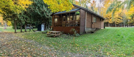 Exteriör