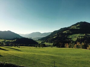 Aussicht vom Ferienhaus [Sommer]