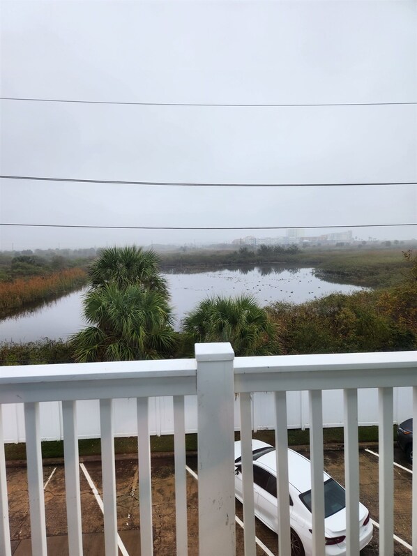 View of the Cove from upstairs balcony