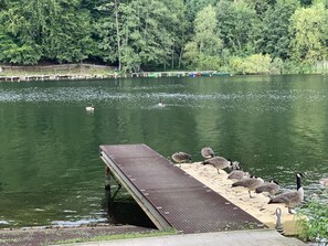 Divers