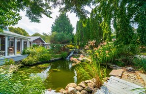 Koi pond 