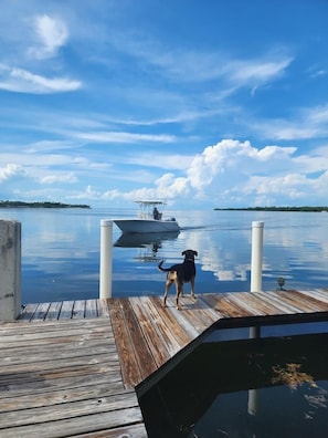 Returning from a perfect day on the water.  The dock has ample space.