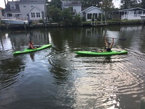 Kayaks!  A great way to visit the river and lagoons around the neighborhood.