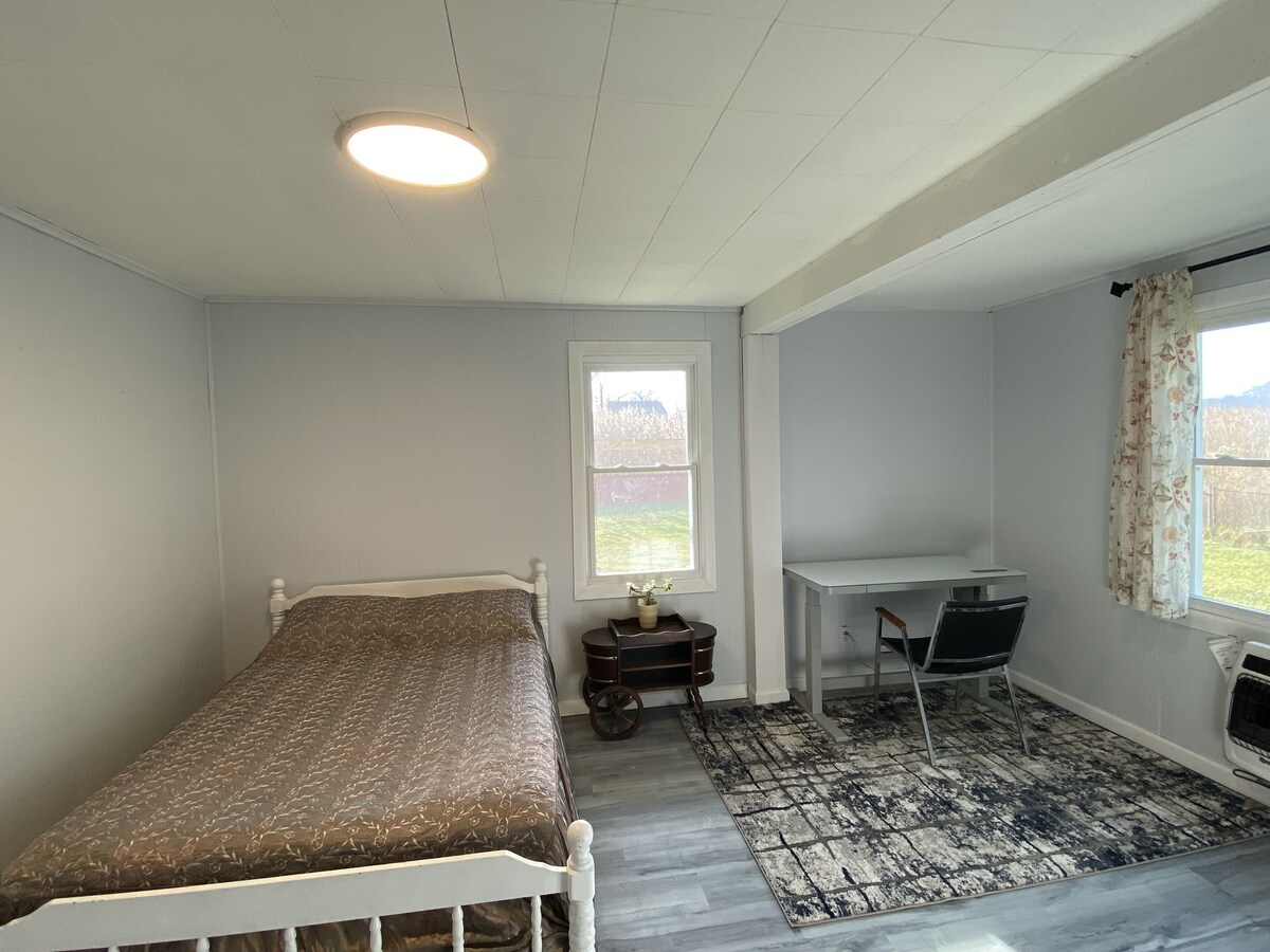 Renovated cozy 4b/2b house-steps away from beach and fully furnished.