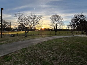 Front Yard at Sunset