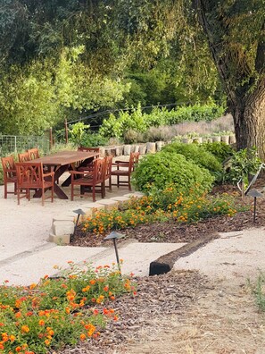 Picnic table by river