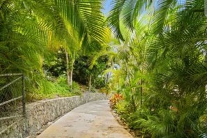 Gated driveway with lush greenery greeting you!