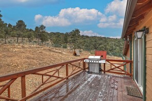 Back Deck 1