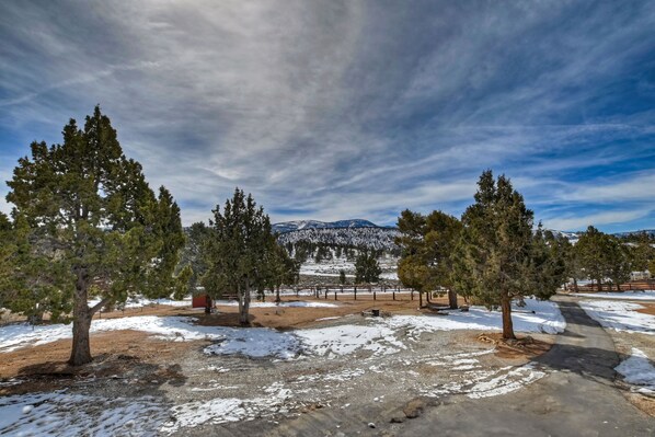 Front Yard