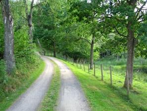 way to the house