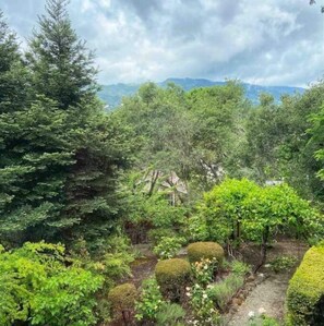 Lovely view of our expansive, terraced garden from the living room.