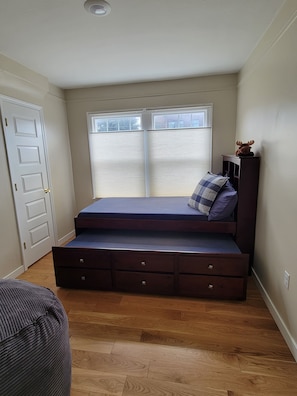 Downstairs bedroom.