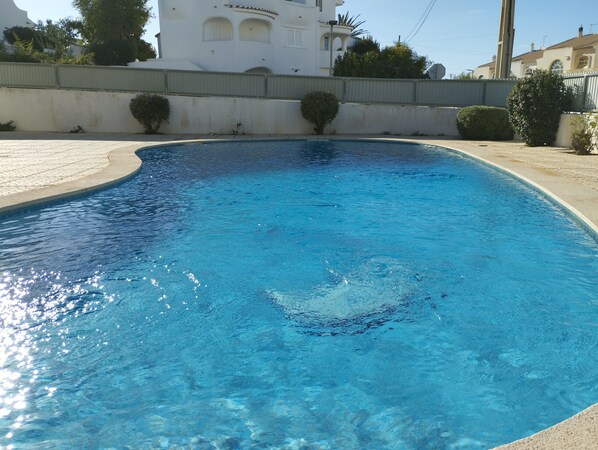 swimming pool common to the condominium