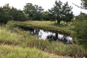 Enjoy the pond that is on the property. Maybe even try fishing?