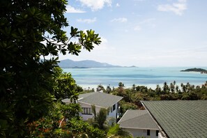 Terrace view