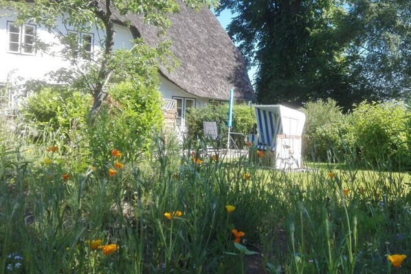 Außenseite Ferienhaus [Sommer]