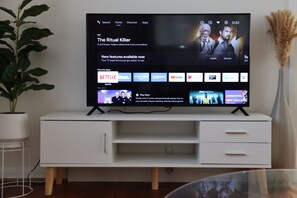 Television