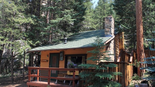 cabin9 (1)