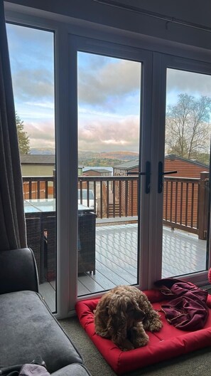 The view from the sofa! 