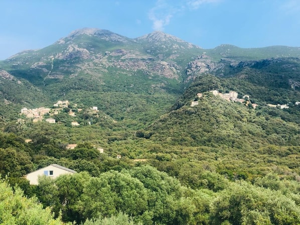 vue  de  FARINOLE  et  de  ses  deux  hameaux  braccolaccia  et  sparagaggio