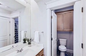 Primary bathroom with sink, toilet and shower