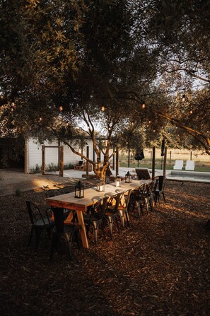 Al fresco dining under the olive trees