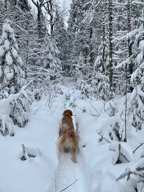 Snow and ski sports