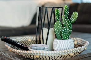 Adding a touch of desert charm to our living room with these adorable mini cactus decorations