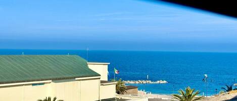 Beach/ocean view