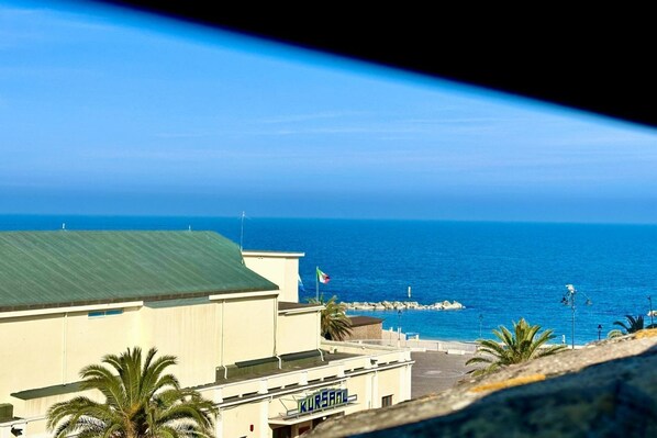 Beach/ocean view