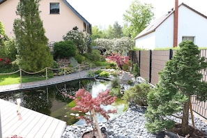 Blick zum Teich