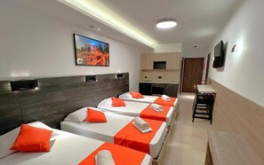 Room 1 with Kitchen, No Balcony (2)