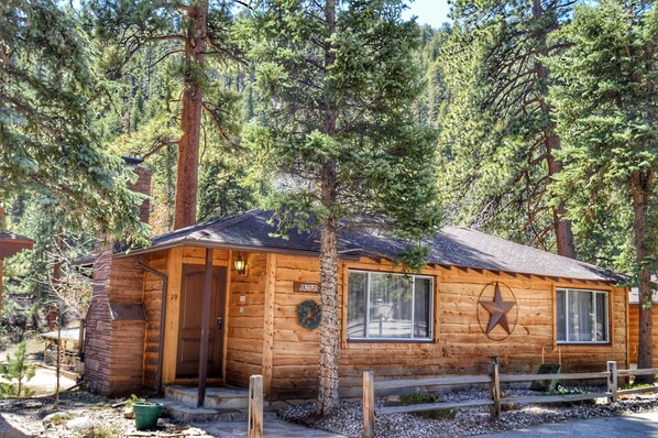 luxury cabin in Estes Park Colorado