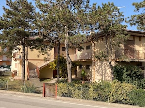 Exteriör