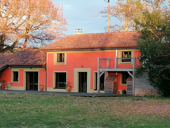 Exteriör