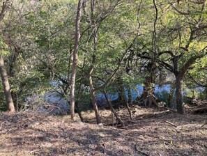 Bluff above the river