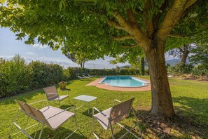 Plante, Communauté Des Plantes, Meubles, Table, Arbre, Ombre, Mobilier De Jardin, Lot Terre, Végétation, Chaise