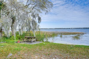 Lake Views