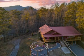Welcome to Pink Pines!