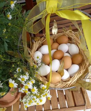 fresh eggs