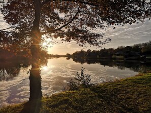 Boendeområde