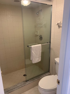 2-404 Master Shower